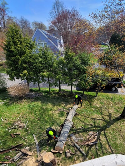 stump grinding fairfield