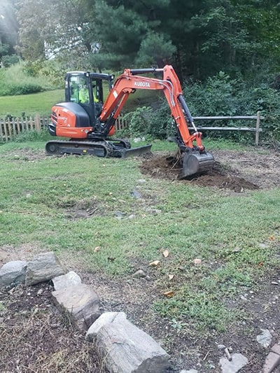 tree removal machine