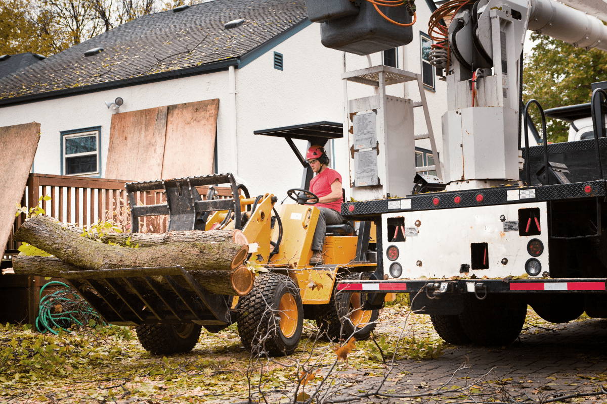 Man removing a tree with his machine