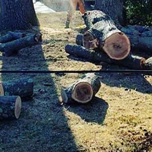 JNP Tree Removal, Stump Removal Services in Connecticut