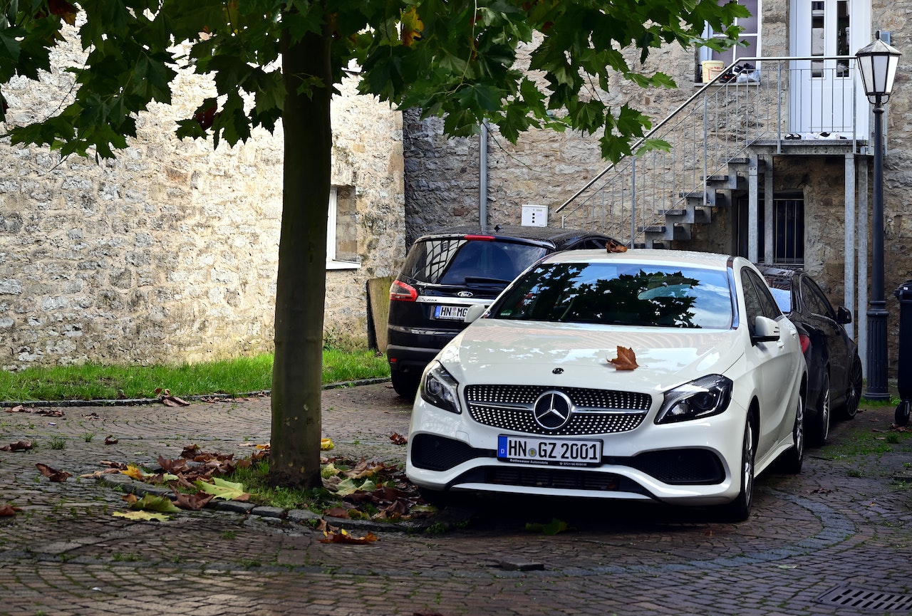 cars parked beside tree