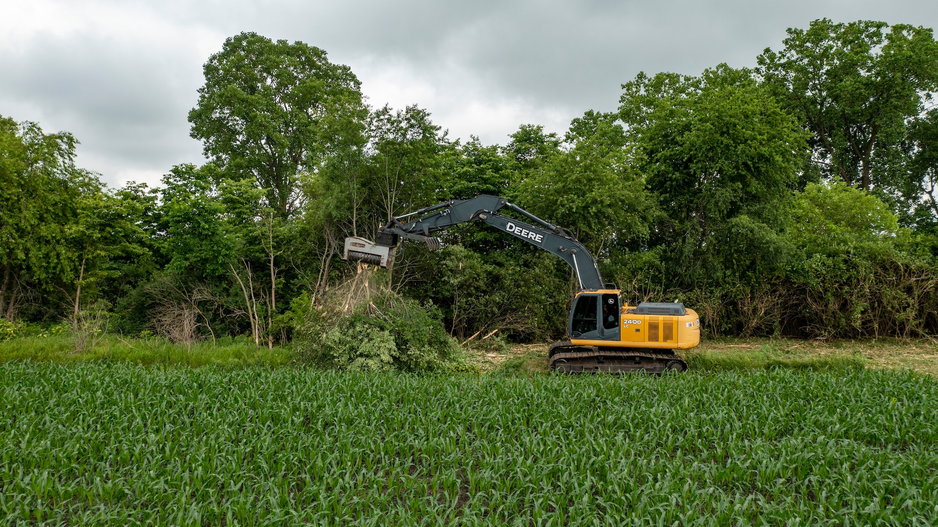 tree removal