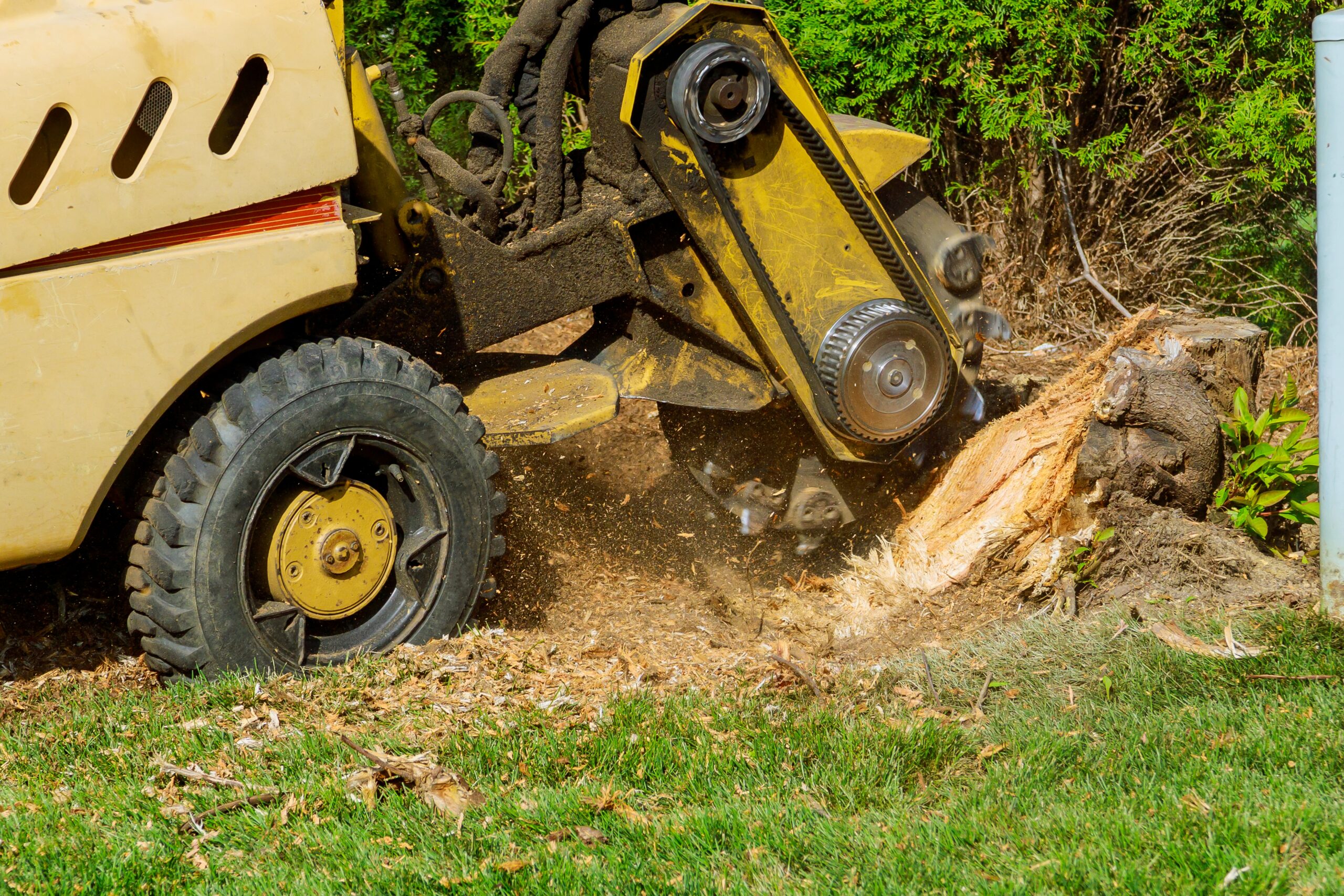 stump grinding