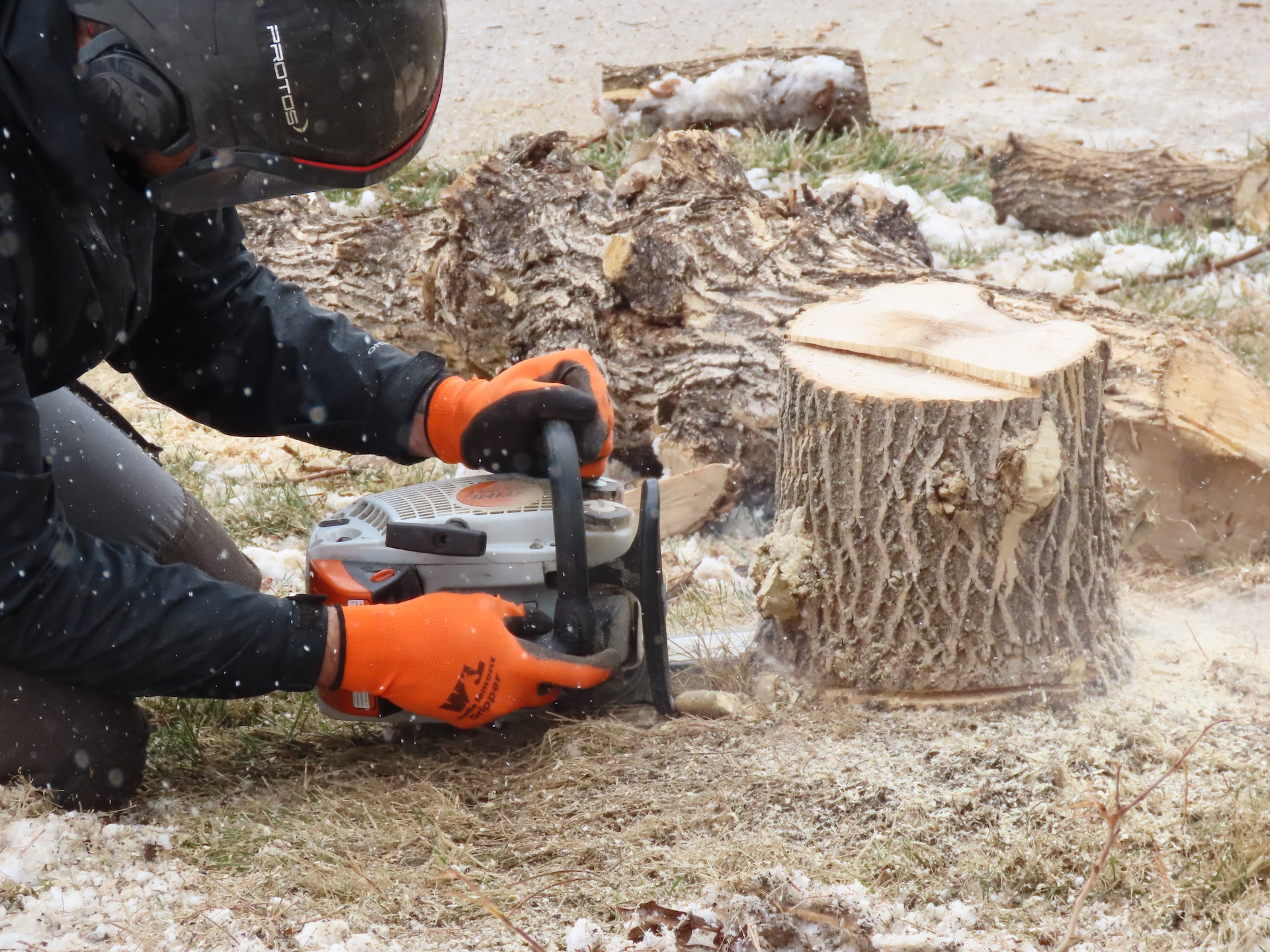 tree stump grinding