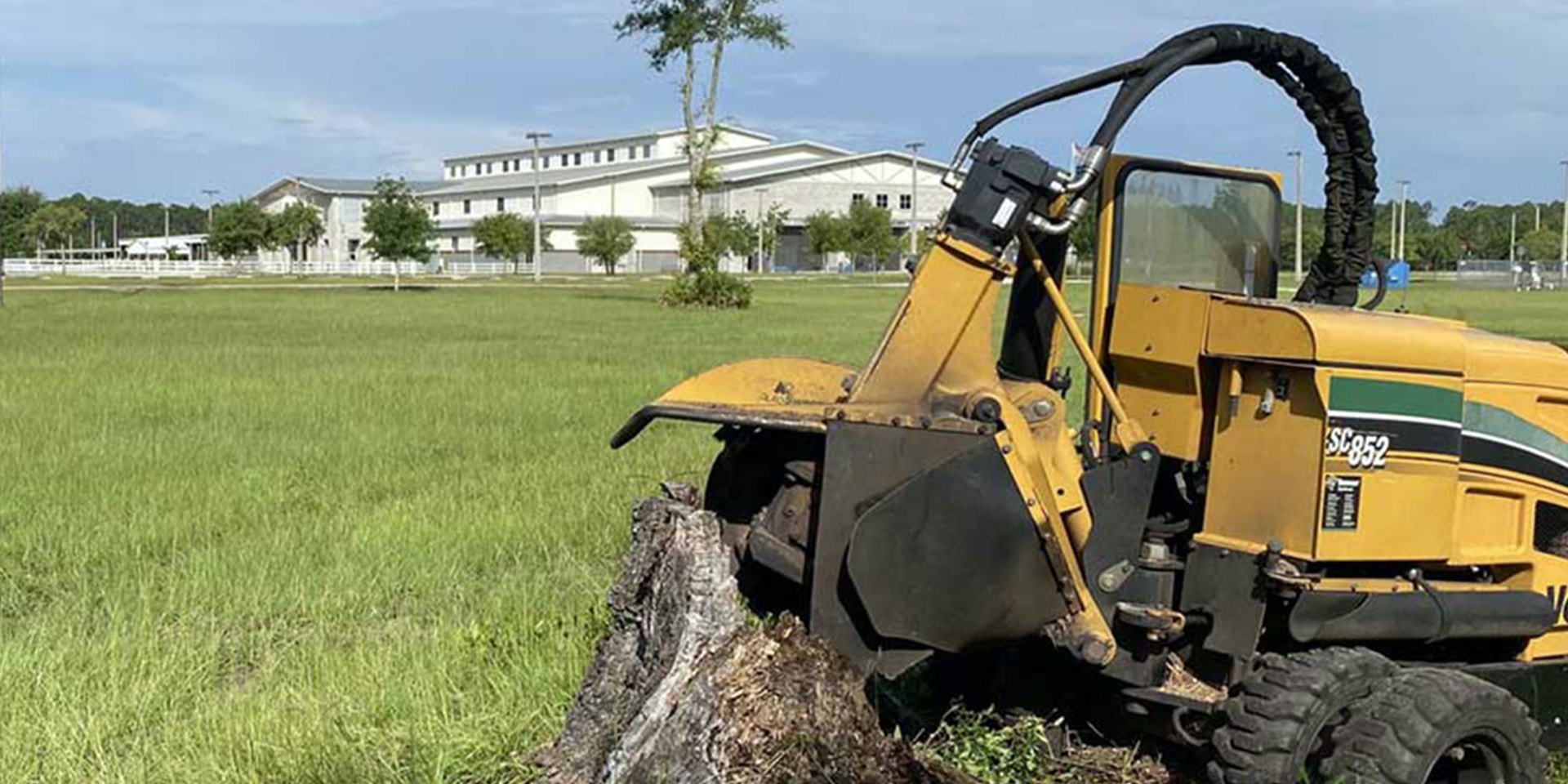 Tree Removal